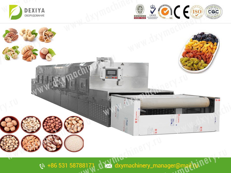 Microwave device for drying berries and nuts