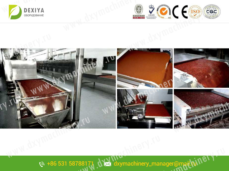 Microwave device for drying and sterilization equipment for seasonings
