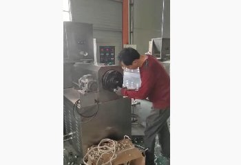 Twin screw extruder. Cleaning.
